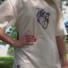 IMG-4292-9